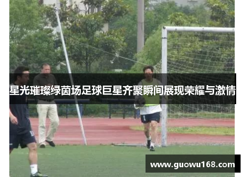 星光璀璨绿茵场足球巨星齐聚瞬间展现荣耀与激情