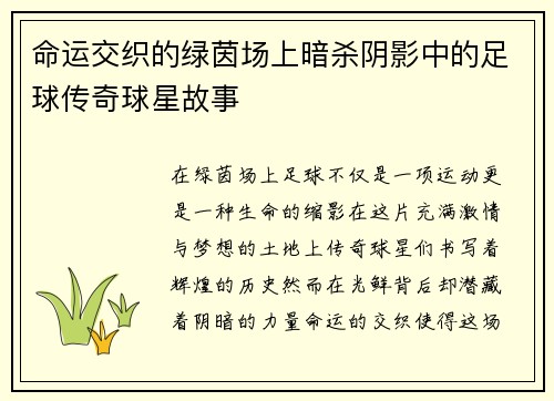 命运交织的绿茵场上暗杀阴影中的足球传奇球星故事