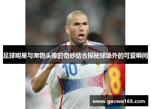 足球明星与宠物头像的奇妙结合探秘球场外的可爱瞬间