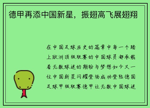 德甲再添中国新星，振翅高飞展翅翔